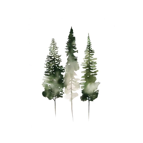 Custom Evergreen Minimalist Print Art Watercolor Pine Trees Scandinavian Decor Forest Wall Art, Evergreen Minimalist Photo,181
