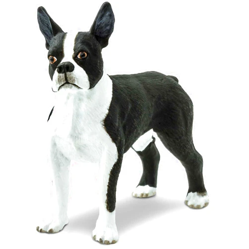 Safari Ltd. Boston Terrier Figurine - Lifelike 2.5