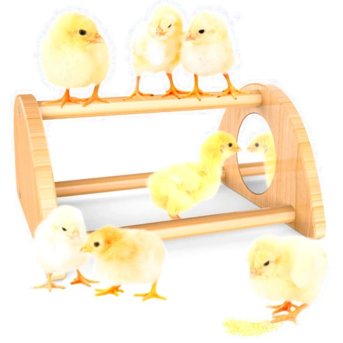 Ensayeer Mini Chick Perch with Mirror, Strong Bamboo Roosting Bar for coop and brooder, Training Perch for Baby Chicks, El Pollitos, La Pollita, Easy to Assemble and Clean, Fun Toys for Chick