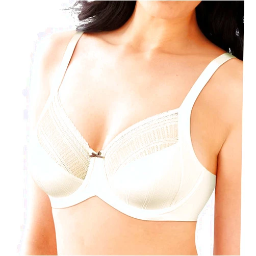 Maidenform Women's Enchantment Lace Minimizer Underwire Bra