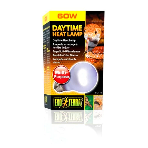 Exo Terra Sun-Glo Neodymium A19 Lamp, 60-Watt (4 Pack)