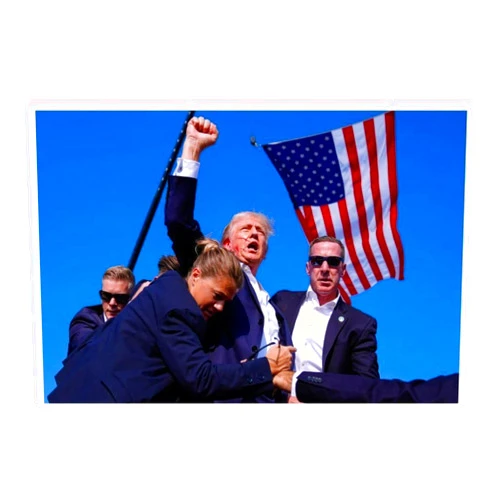 TUOCYERD Donald Trump 2024 Poster Trump Rally Shooter Poster Assassination Attempt Fight Photo Stretched Canvas Wall Art 12x8 inches (Unframed)