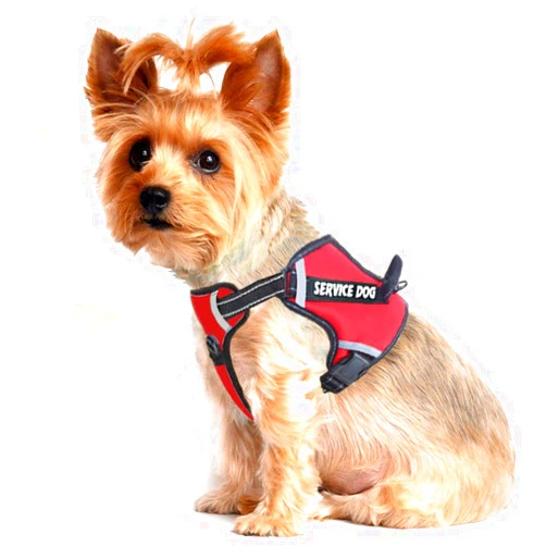 LMOBXEVL Service Dog Harness,No-Pull Dog Harness with Handle Adjustable Reflective Pet Dog in Training Vest Harness,Easy Control for Small Medium Large Breed Outdoor Walking Hiking