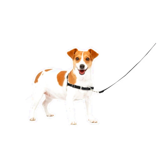 PetSafe Easy Walk Black No Pull Dog Harness, Small