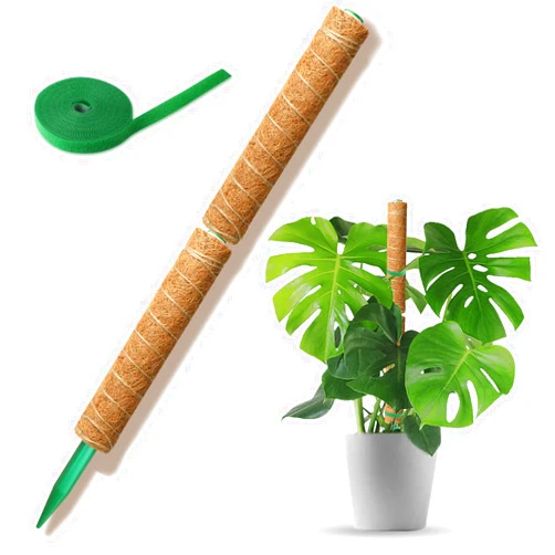 Augshy Moss Pole for Monstera 2Pcs 15.7 Inch Plants Stake Indoor Coir Moss Sticks Plant Support Pole with Garden Tie for Climbing Plant Support Extension Used to Make Many Handicrafts