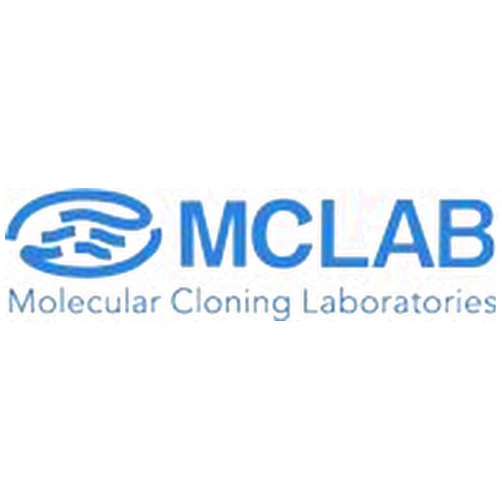 MCLAB Taq DNA Ligase (40,000 units:40,000 U/ml)