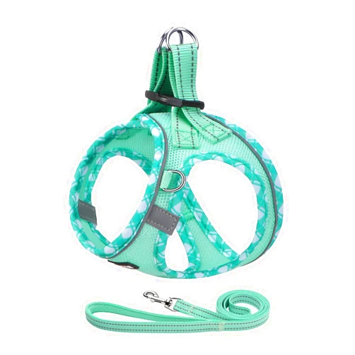AMTOR Dog Harness with Leash Set,Upgrade No Pull Reflective Step-in Air All Weather Puppy Harness with Padded Vest for Small Dogs and Cats(Teal,Small)