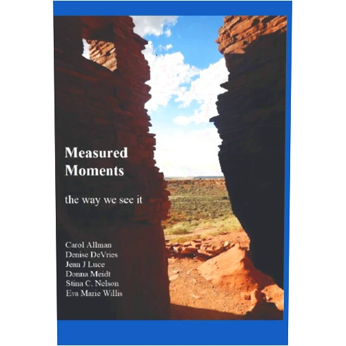 By Legacy Writing Club (Author), Carol Allman (Author), Jean J Luce (Author), Donna Meidt (Author), Stina C. Nelson (Author), Eva Marie Willis (Author), Denise DeVries (Author) & 3 more Measured Moments: the way we see it