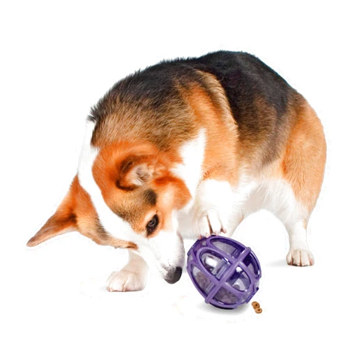 PetSafe Busy Buddy Kibble Nibble - Dog Toy - Treat and Food Dispenser - Slow Feeder - Small