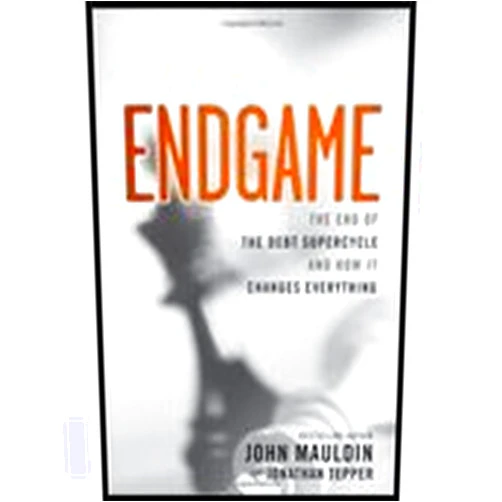 By MAULDIN (Author) Endgame by Mauldin, John, Tepper, Jonathan. (Wiley,2011) [Hardcover]