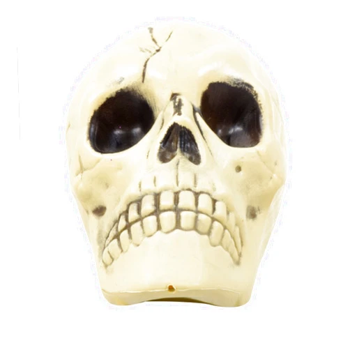 Greenbrier International Plastic Skull