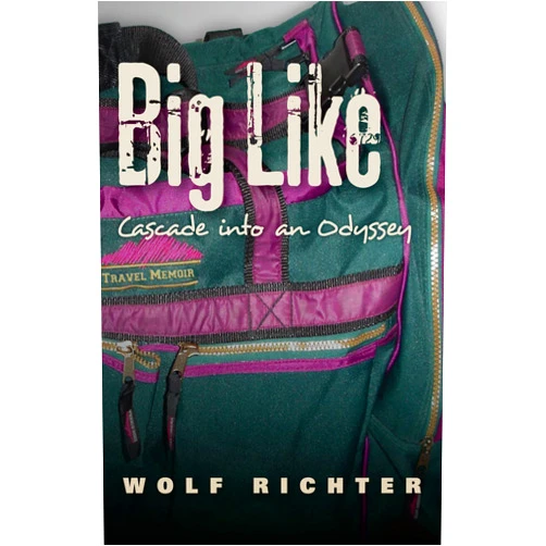 Wolf Richter BIG LIKE: CASCADE INTO AN ODYSSEY