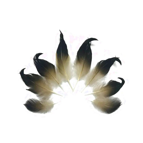 Moonlight Feather | USA Seller Moonlight Feather | 10 Pieces - Natural Mallard Drake Black Curly Tail Feathers Craft Fly Tying Supplier