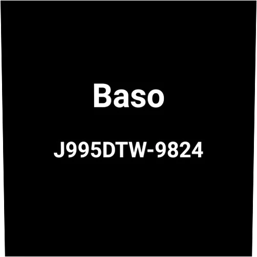 CAI - BASO BASO Pilot Burner Assembly