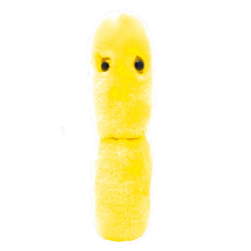 GIANT MICROBES GIANTmicrobes Acidophilus Plush – Learn About Probiotics and The Gut Microbiome with This Educational Gift for Doctors, Students, Biologists, Educators and Anyone with a Healthy Sense of Humor