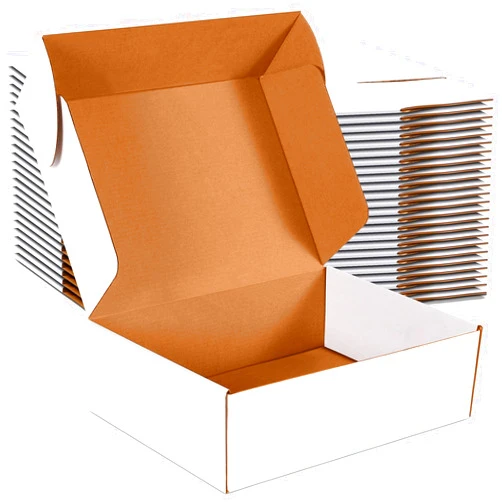 JOWLOT 12x9x4 inch Shipping Boxes Set of 20, White Corrugated Cardboard Box Literature Mailer for Mailing Packing Moving and Storage