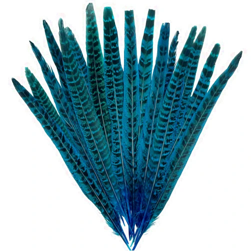 LWINGFLYER 20pcs Turquoise Blue Pheasant Feathers Pheasant Tails 10-12