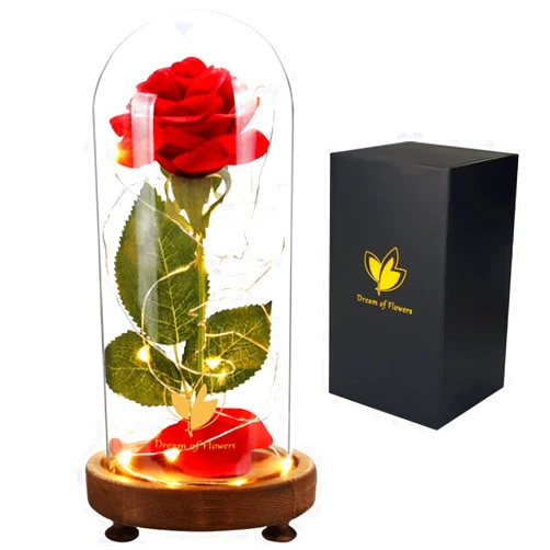 Dream of Flowers Christmas Rose Gifts for Women,Beauty and The Beast Rose Kit Xmas Gifts for Her,Red Silk Rose Lasts Forever with Warm Lights ,Romantic Gifts for Her,Unique Gift Anniversary Thanksgiving Birthday Gift