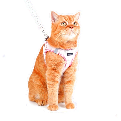 Rttochfy Cat Harness and Leash Set, Escape Proof Kitten Harness, Soft and Breathable Vest with Reflective Strip, Easy to Wear for Cats Walking and Traveling (Pink, M)