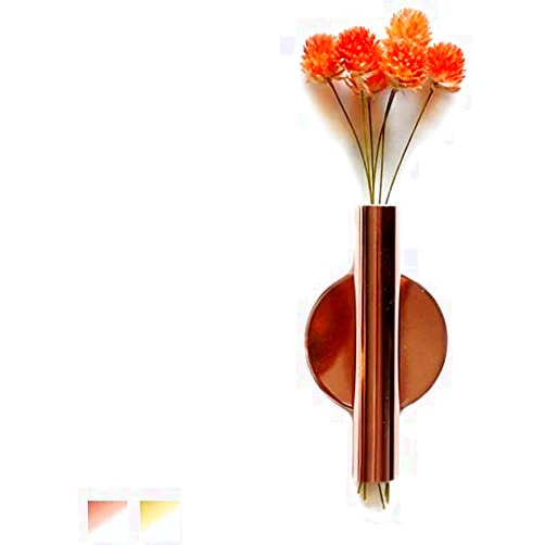 Eanatah DEOTPSMI Wall-Mounted Flower Tube for Flower Display, Wall Metal Vase Decoration Holder(Adhesive Material Included) (Rose Gold)