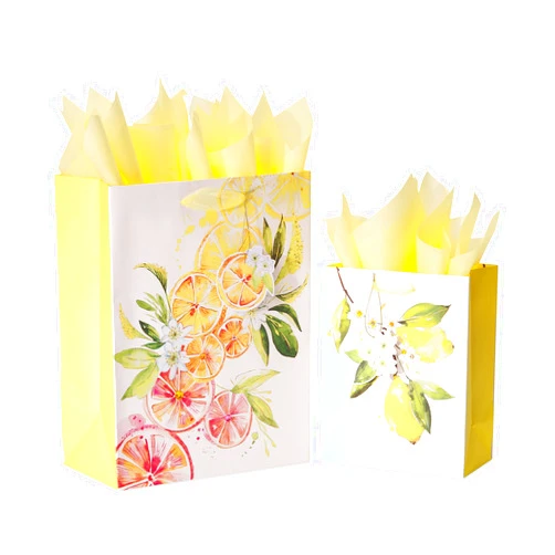 Papyrus Gift Bags with Tissue Paper (Citrus) for Birthdays, Weddings, Bridal Showers, Baby Showers and All Occasions (2 Bags, 1 Large 13