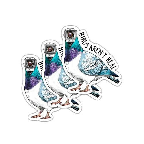 Grateful9xx (3 Pcs) Birds aren't Real Sticker - Conspiracy Theory - Anti Government Surveillance Satirical - Funny CCTV Pigeon Sticker for Animal Lover - Area 51 Weird - Decal 3 Inch for Laptop Water Bottles