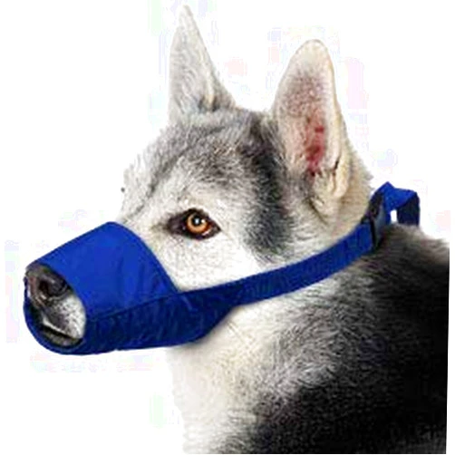 Four Flags Over Aspen Four Flags Quick Muzzle, Large, Blue