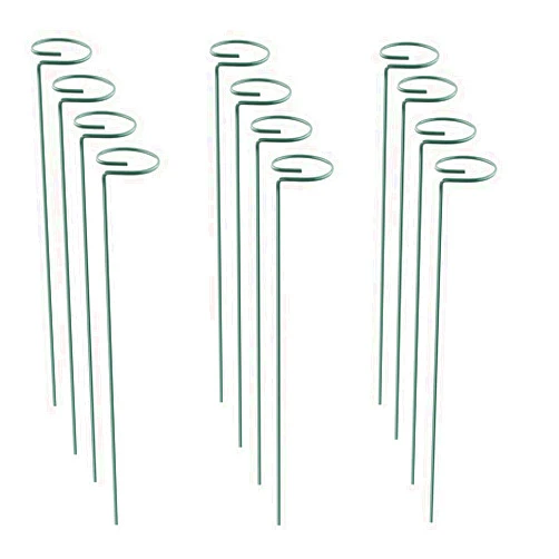 RAIKEDR 12 Pack Plant Stake Support, Garden Single Stem Support Stake Plant Cage Support Rings, Single Stem Plant Support Stakes, for Tomatoes, Peony, Lily, Rose, Flowers Amaryllis