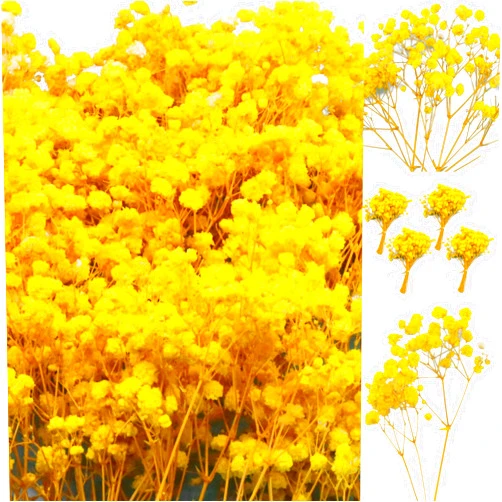 Beerfingo 90+Pcs Mini Dried Babys Breath Flowers Yellow, 4700+ Yellow Baby's Breath Bulk, Dried Yellow Flowers for DIY, Crafts, Resin, Home Decor, Wedding Decor, Invitations Wax Seals, Gifts Wrap