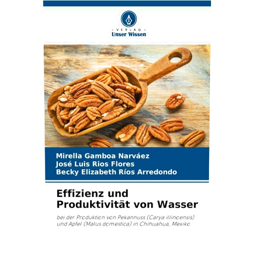 Mirella Gamboa Narváez,José Luis Ríos Flores,Becky Elizabeth Ríos Arredondo Effizienz und Produktivität von Wasser (German Edition)