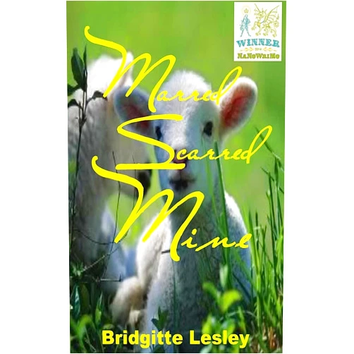 Bridgitte Lesley Marred Scarred Mine