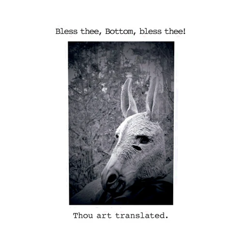 Lou Rowan Bless thee, Bottom, bless thee! Thou art translated.: Translations and Transformations