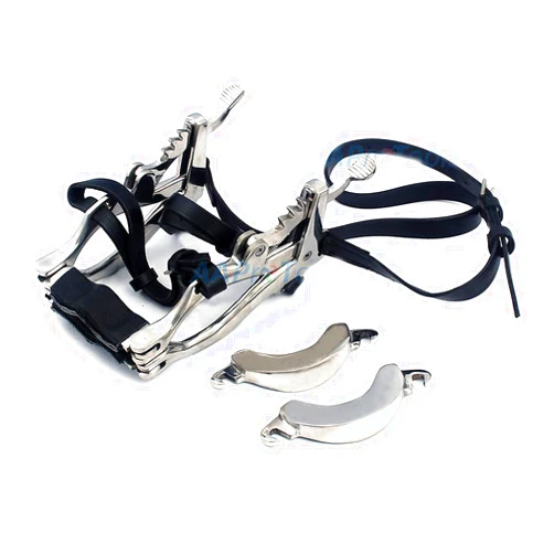 AAProTools Equine Miniature Horse Pony Dental Mouth Gag Speculum Stainless Steel Satin with Leather Straps Dentistry Veterinary BITS Cups Upper Lower Jaws