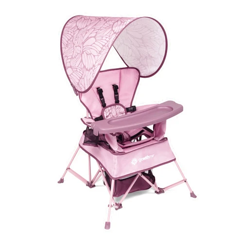 Baby Delight Go with Me Venture Portable Chair | Indoor and Outdoor | Sun Canopy | 3 Child Growth Stages | Canyon Rose