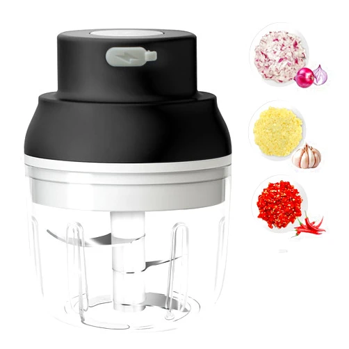 Hviww Electric Garlic Chopper, 250ML Garlic Grinder 2 in 1 Mini Vegetable Chopper with Eggbeate, Portable Veggie Chopper, Garlic Mincer, Onion Chopper, Food Processor for Ginger, Chili, Fruit, Meat