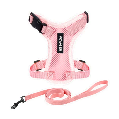 Best Pet Supplies Voyager Step-in Lock Adjustable Cat Harness w. Cat Leash Combo Set with Neoprene Handle 5ft - Supports Small, Medium and Large Breed Cats by Best Pet Supplies - Pink, XS