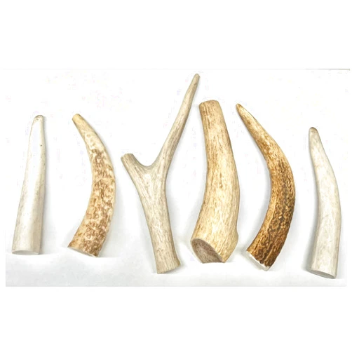 HEARTY CHEWS Premium Deer Antlers for Dogs, Naturally Shed, Organic Grade A Antler Dog Bone, Supports Dental Health, Long Lasting Treat from Heartland Regions - Small 6 Pack (About 4 inch Pieces)