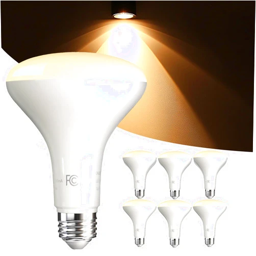 DAYBETTER 6 Pack BR30 LED Light Bulbs, Dimmable Indoor Flood Lights, Warm White 2700k, E26 Base, 9W, 65W Equivalent, 800 LM, Recessed Can Light for Bedroom, Kitchen, Living Room, Bathroom, Ceiling