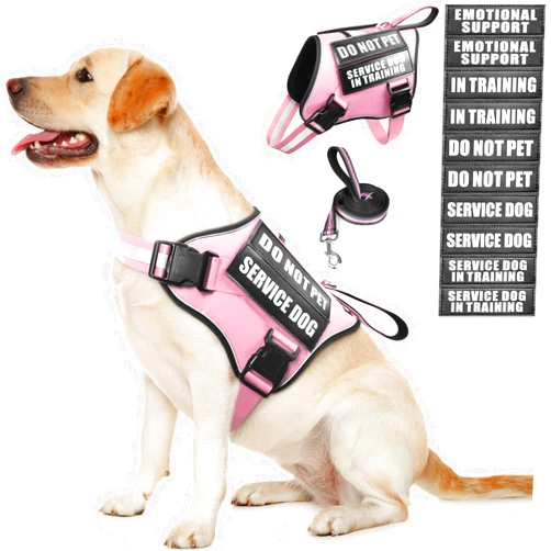 MOOGROU Service Dog Vest Harness and Leash Set+10 Patches,No Pull&Easy Walk Reflective Dog Harness with Soft Padded Handle for Training/Everyday,Fit Small/Medium/Large/Extra-Large Dogs(Pink M)