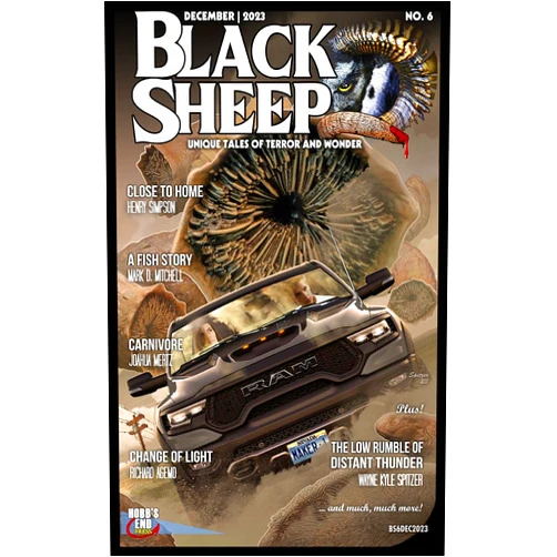 By Wayne Kyle Spitzer (Author), Mark Mitchell (Author), Joshua Mertz (Author), Richard Agemo (Author), Henry Simpson (Author), Ashwin Ashwin (Author), Alison Morretta (Author), Ben Larned (Author), Jarred Frederick (Author), Anthony Neil Smith (Author) & 6 more Format: Kindle Edition Black Sheep: Unique Tales of Terror and Wonder No. 6: December 2023