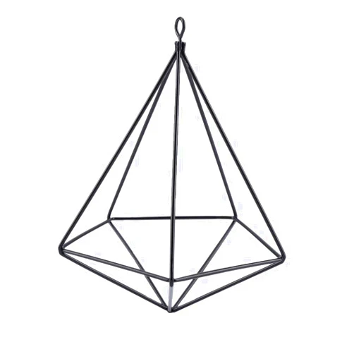 JUOPZKENN Air Plant Holder,Metal Geometric Hanging Airplants Plant Hanger, Hanging Geometric Plant Stand Flower Hanger Moss Fern Plant Pot Decor(Black)