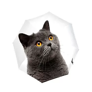 Vantaso Travel Umbrella for Rain Sun Portrait of Gray Cat Compact Folding Umbrella Automatic Open Close Portable Windproof Umbrellas