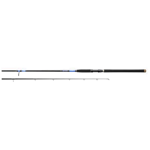 Daiwa BEEFSTICK SURF Rod Sections 2 Line Wt 40 100