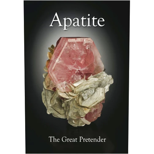 By Michael Bainbridge (Author), Phil Scalisi (Author), John Rakovan (Author, Editor), Alfredo Petrov (Author), Berthold Ottens (Author), Luiz Menezes (Author), Stefan Meier (Author), Peter K.M. Megaw (Author), Robert F. Martin (Author, Illustrator), Dmitriy Belakovskiy (Author), Dudley Blauwet (Author), Carles Curto Mila (Author), Donald A. Dallaire (Author, Editor), Jordi Fabre (Author, Illustrator), Jaroslav Hyrsl (Author), John M. Hughes (Author), Gloria A. Staebler (Editor), David W. Bunk (Editor), William W. Besse (Illustrator), Joe Budd (Illustrator), Jordi Deusedes (Illustrator), Josè Arce Diaz (Illustrator), Bob King (Illustrator), Don Komarechka (Illustrator), Jesse La Plante (Illustrator), Alana McConnon (Illustrator), John Schneider (Illustrator), Jeff Scovil (Illustrator), Brad Wilson (Illustrator) & 25 more Apatite: The Great Pretender