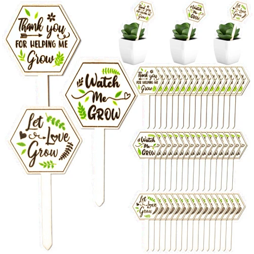 WATINC 48pcs Wooden Succulent Tags, Watch Me Grow Plant Labels, Spring Let Love Grow Succulents Sign, Thank You for Helping Me Hexagon Plant Markers for Seed Flowers Outdoor Garden Greenhouse Potted