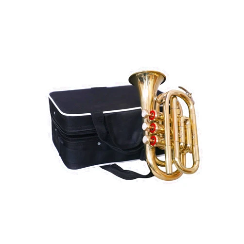 QUEENBRASS Sai Musicals Bb Pocket Trumpet Horn in Brass Finish with Mouthpiece & Carrying Hardcase, Practise Mute for Students & Advance Level, Perfect Cornet Gift For Birthday, Christmas (Gold)