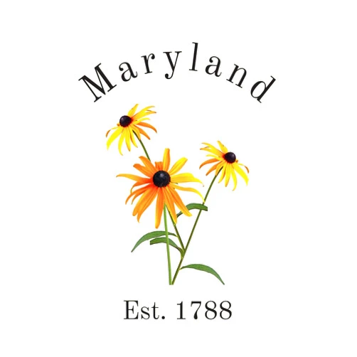 Kelli McLaughlin Maryland State Flower, Black-Eyed Susan, (Rudbeckia hirta) Journal, Notebook Gift for Nature Lovers, Women, Teens, Young Adults: 120 white lined pages, 6