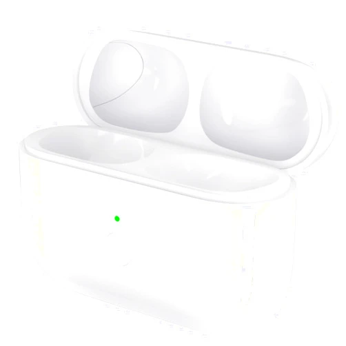 Owenbo Replacement Case for Airpods Pro 1st Gen Charging Case,Type C Charging Port, Wireless Charger Replacement Case for Airpod Pro 1st and 2nd Generation, No Earbuds Included