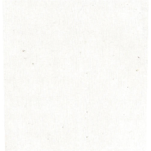 Cennagi Fabrics Amy Butler 100% Cotton Muslin Natural Fabric By The Yard (Single Pack)