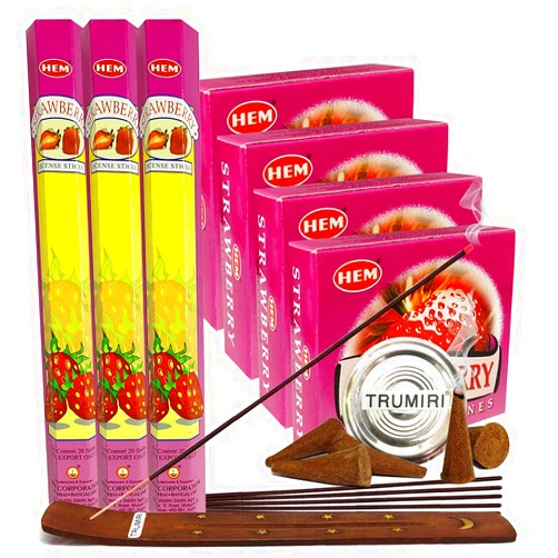 TRUMIRI Strawberry Incense Sticks and Cone Incense Holder Variety Pack Bundle insence insense insienso